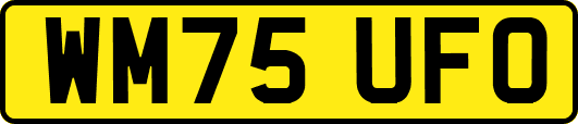 WM75UFO