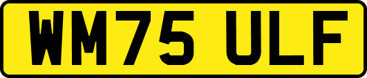 WM75ULF