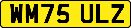 WM75ULZ