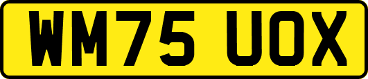WM75UOX