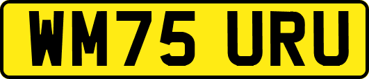 WM75URU