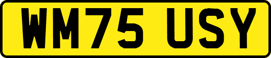 WM75USY