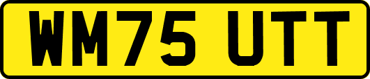 WM75UTT