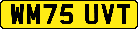 WM75UVT