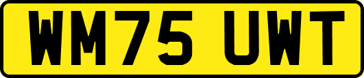 WM75UWT