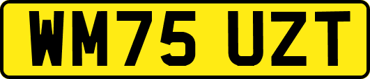 WM75UZT