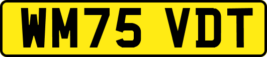 WM75VDT