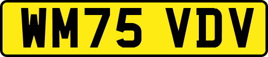 WM75VDV