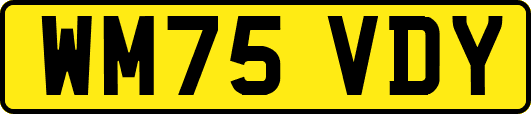 WM75VDY