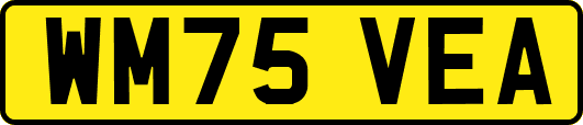 WM75VEA