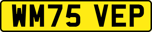 WM75VEP