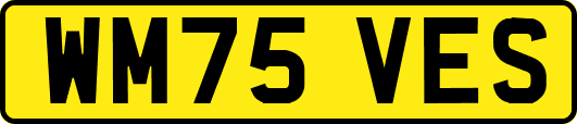 WM75VES