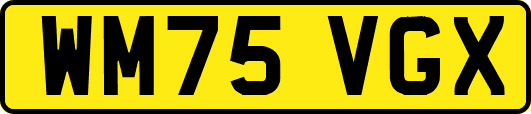 WM75VGX