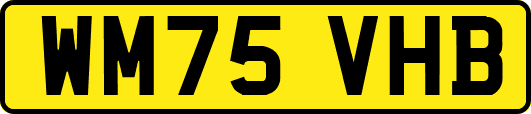 WM75VHB