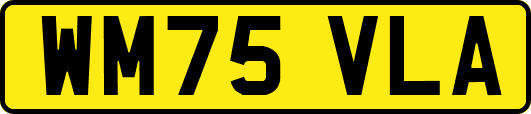 WM75VLA