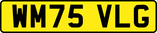 WM75VLG