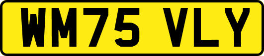 WM75VLY