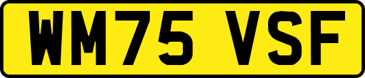 WM75VSF