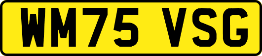 WM75VSG