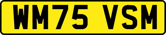WM75VSM