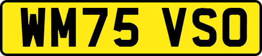 WM75VSO