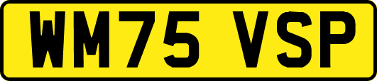 WM75VSP