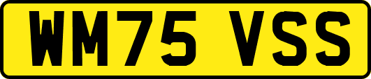 WM75VSS
