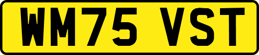 WM75VST