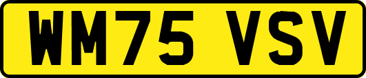 WM75VSV