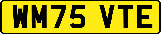 WM75VTE