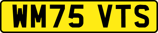 WM75VTS