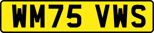WM75VWS