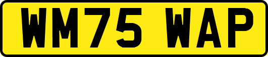 WM75WAP