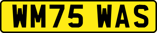 WM75WAS