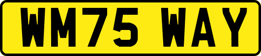 WM75WAY