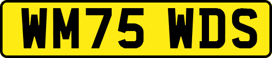 WM75WDS