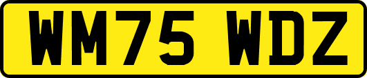 WM75WDZ