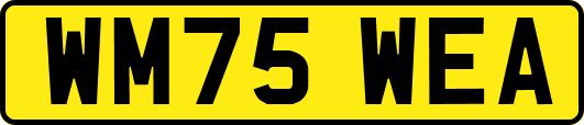 WM75WEA