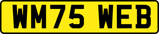WM75WEB