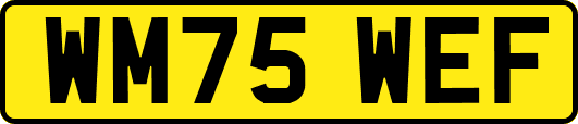 WM75WEF