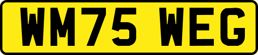 WM75WEG
