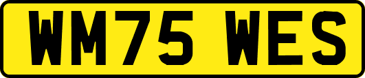 WM75WES