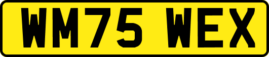 WM75WEX