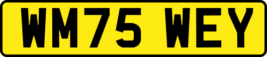 WM75WEY