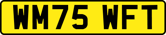 WM75WFT
