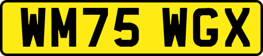 WM75WGX