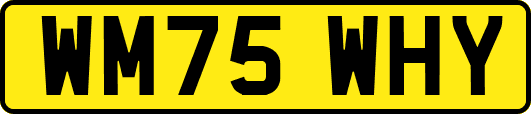 WM75WHY
