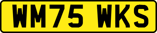 WM75WKS