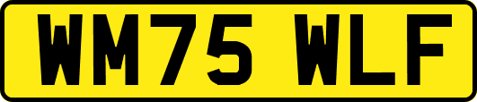 WM75WLF