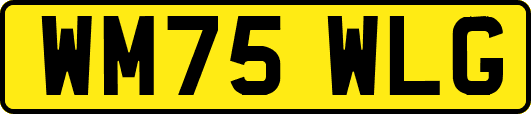 WM75WLG